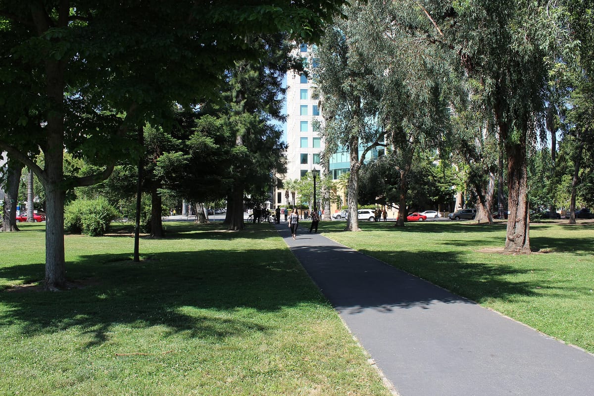 A path through the lawns and shade trees of Capitol Park