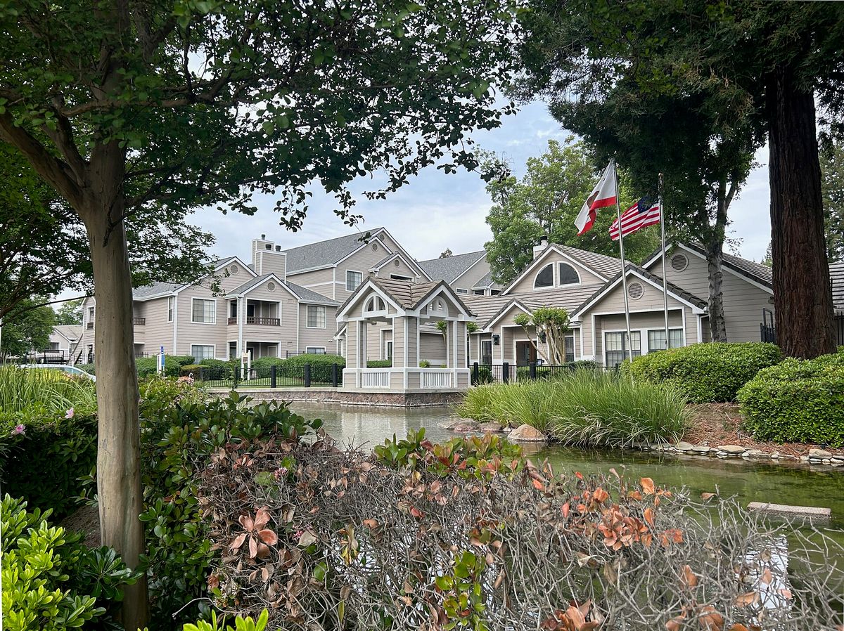 A pond and lawns among tall trees in the Pocket neighborhood