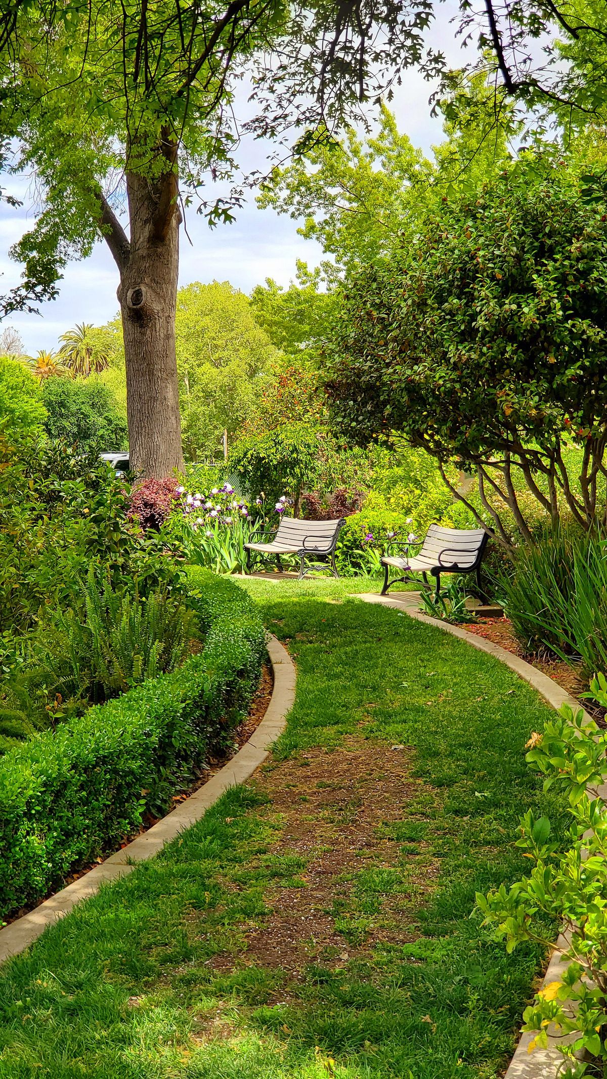 A quiet pathway through McKinley Park