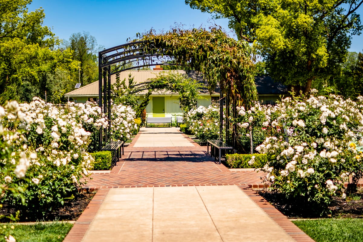A brick path and a rose arbor in McKinley Park
