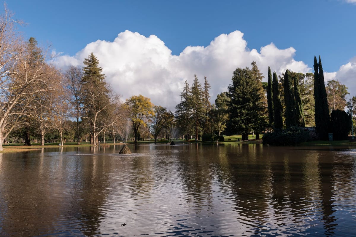The lake in William Land Park under tall shade trees